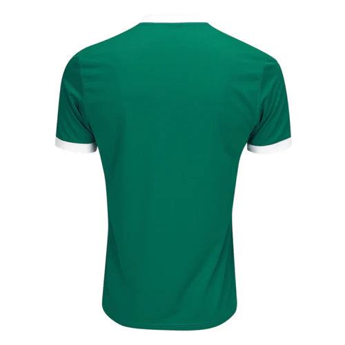 Camisa Palmeiras 25/26 Puma Home Torcedor - Verde