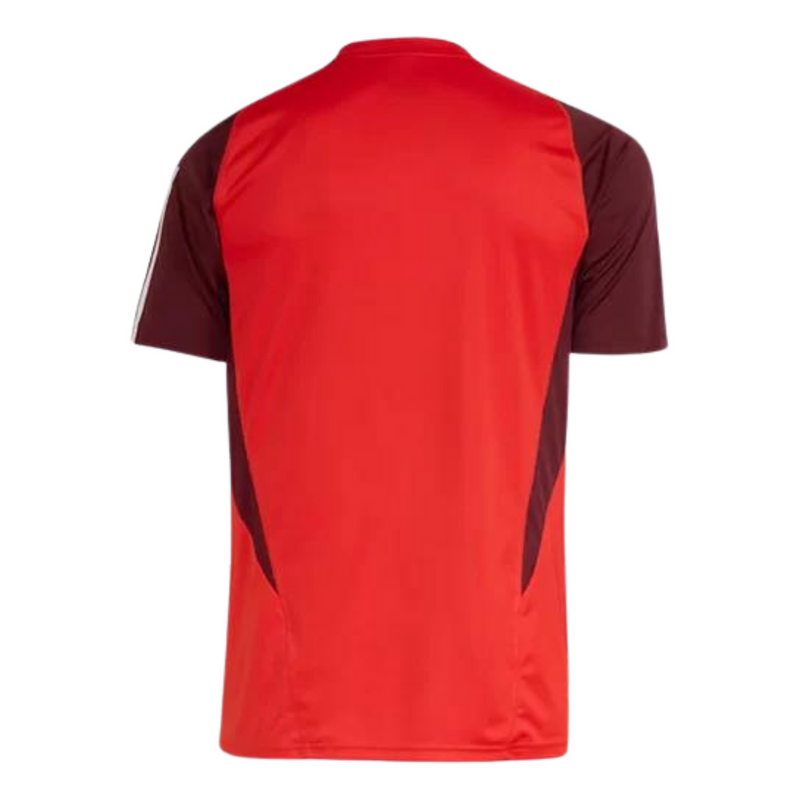 Camisa Internacional 24/25 Adidas Treino Torcedor