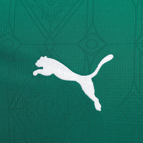Camisa Palmeiras 25/26 Puma Home Torcedor - Verde