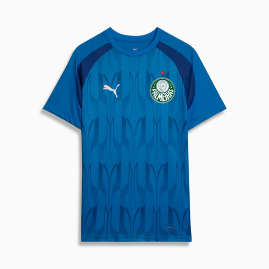 Camisa Palmeiras 24/25 Pré Jogo Puma Masculina - Azul