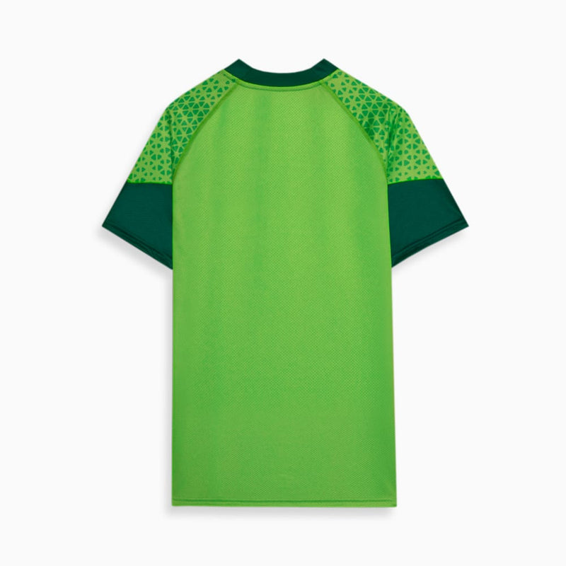 Camisa Treino e Viagem Palmeiras 24/25 Verde