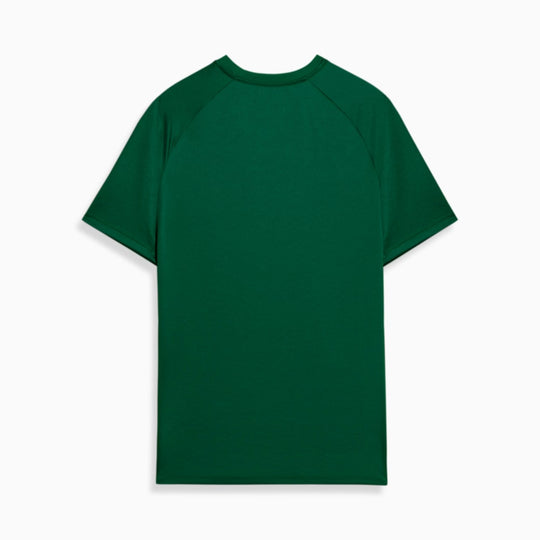 Camisa Palmeiras 24/25 Pré Jogo Puma Masculina - Verde