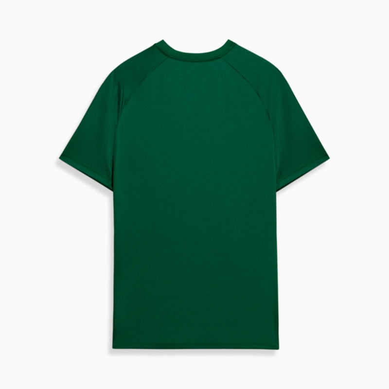 Camisa Palmeiras 24/25 Pré Jogo Puma Masculina - Verde