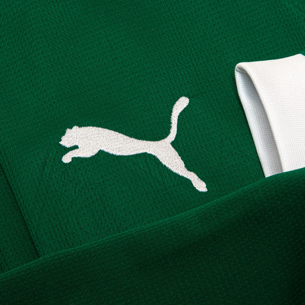 Camisa Palmeiras Manga Longa 25/26 Home Puma Torcedor - Verde