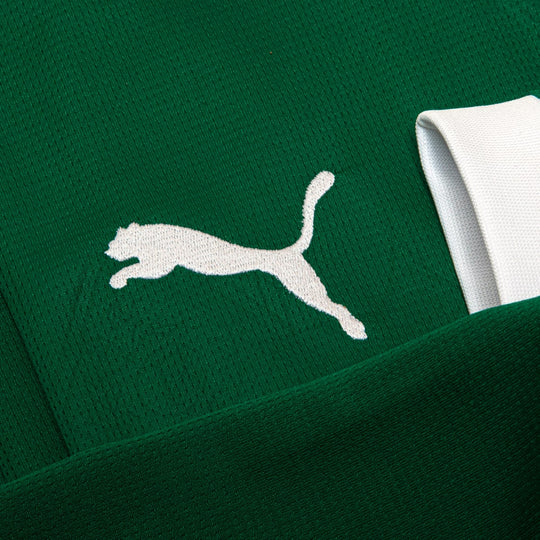 Camisa Palmeiras Manga Longa 25/26 Home Puma Torcedor - Verde